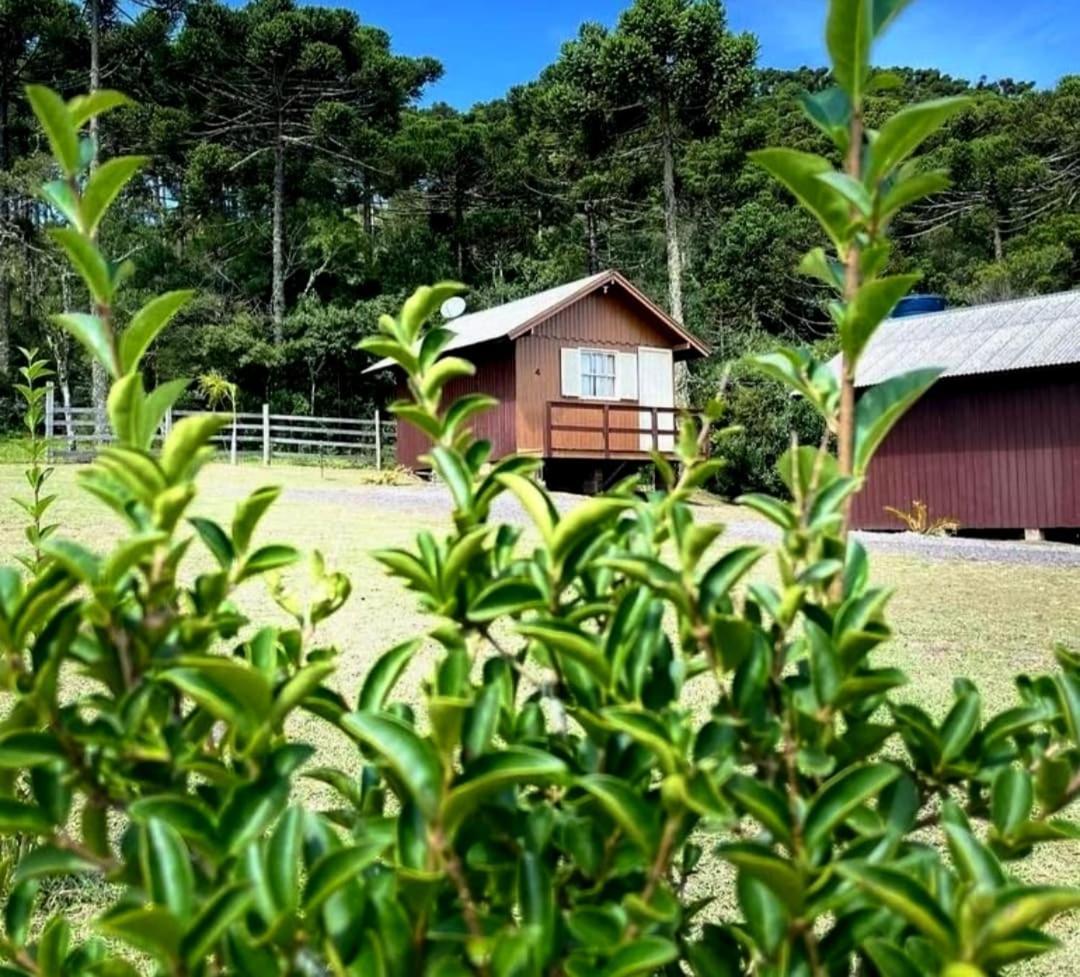 Encanto Das Araucarias Cambará 외부 사진